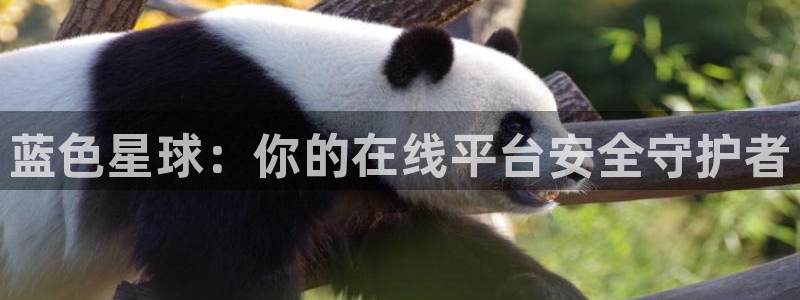 壹号娱乐体育用品：蓝色星球：你的在线平台安全守护者