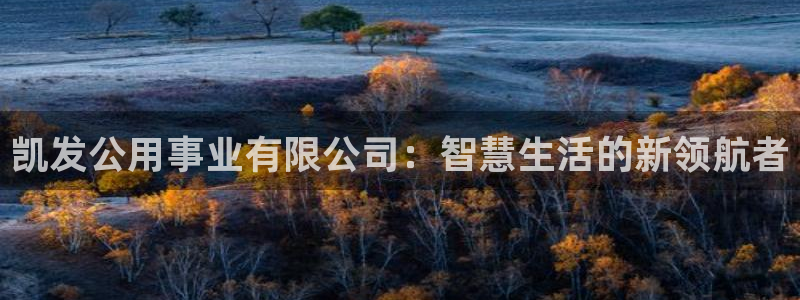 壹号娱乐能源：凯发公用事业有限公司：智慧生活的新领航者
