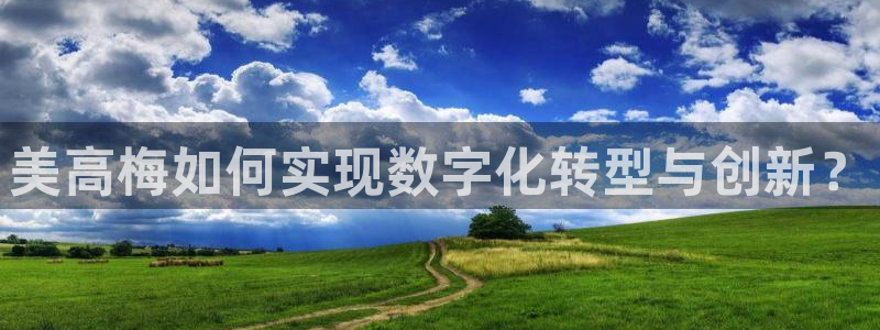 壹号娱乐平台注册：美高梅如何实现数字化转型与创新？