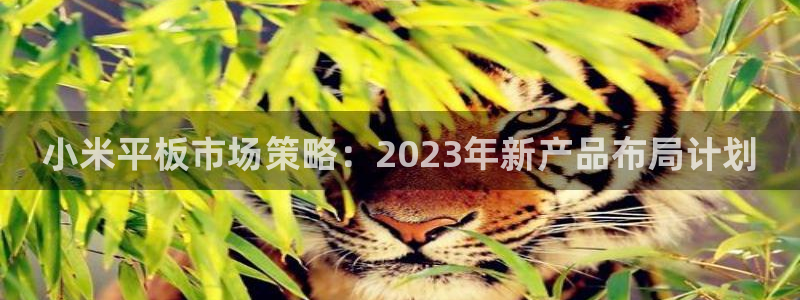 壹号娱乐2平台：小米平板市场策略：2023年新产品布局计划