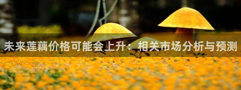 壹号娱乐4登录：未来莲藕价格可能会上升：相关市场分析与预测