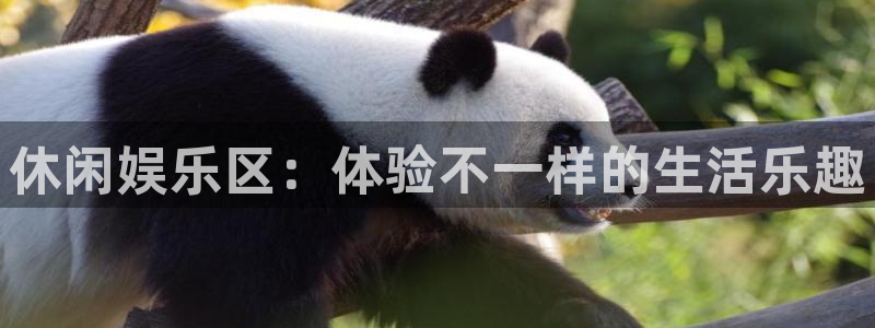 壹号娱乐4开户：休闲娱乐区：体验不一样的生活乐趣