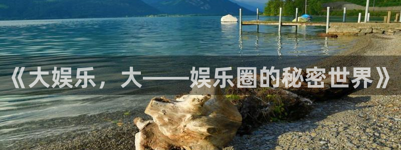 壹号娱乐集团：《大娱乐，大——娱乐圈的秘密世界》