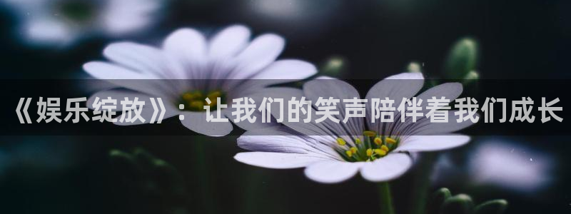 壹号娱乐4平台：《娱乐绽放》：让我们的笑声陪伴着我们成长