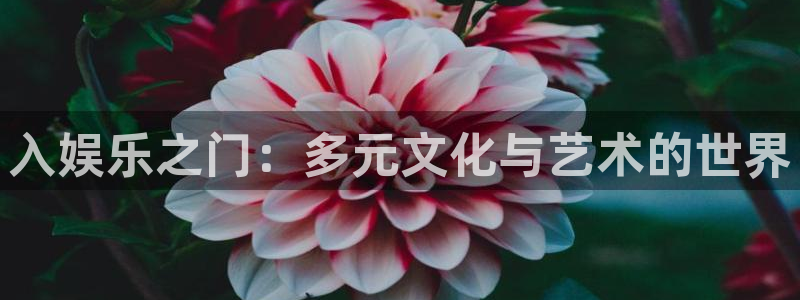 壹号娱乐能源：入娱乐之门：多元文化与艺术的世界