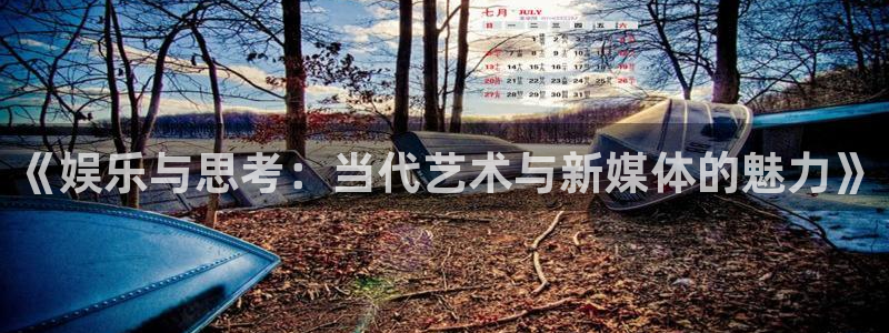 壹号娱乐2注册：《娱乐与思考：当代艺术与新媒体的魅力》