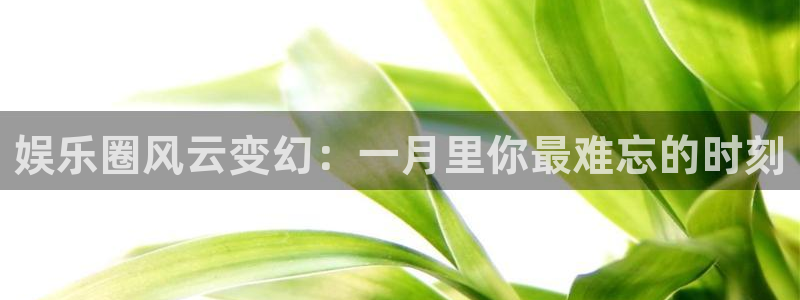 壹号娱乐体育论坛：娱乐圈风云变幻：一月里你最难忘的时刻