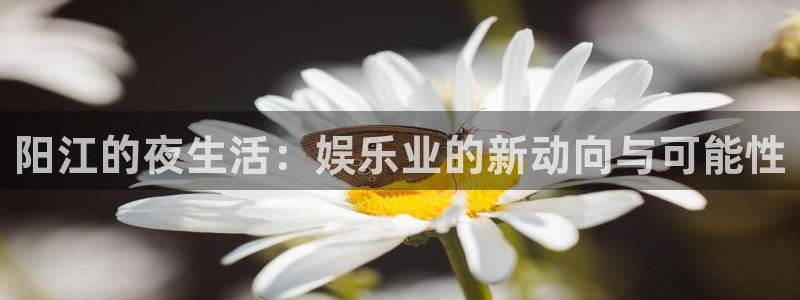 壹号娱乐2代理注册：阳江的夜生活：娱乐业的新动向与可能性