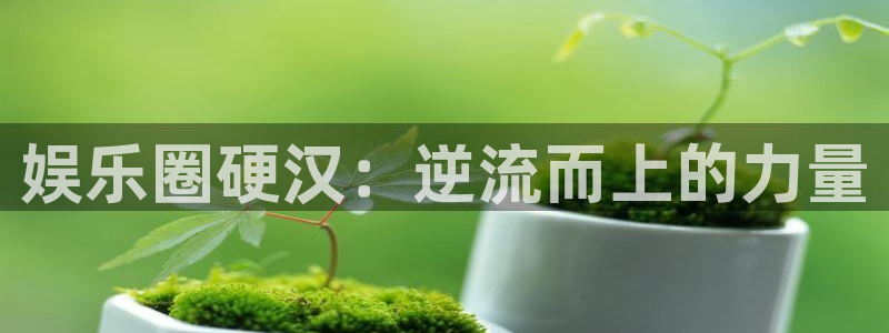 壹号娱乐环保：娱乐圈硬汉：逆流而上的力量
