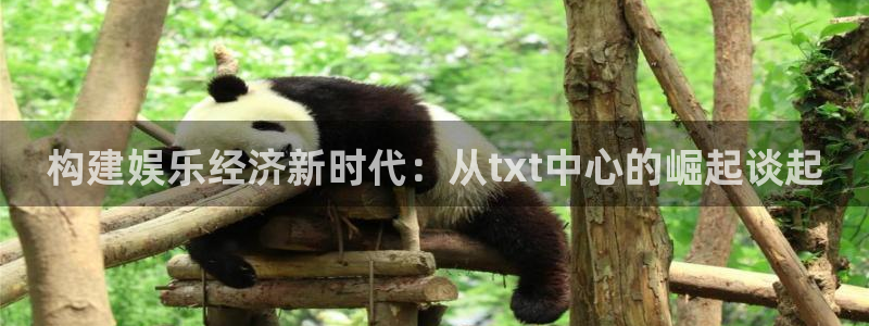 壹号娱乐体育2：构建娱乐经济新时代：从txt中心的崛起谈起