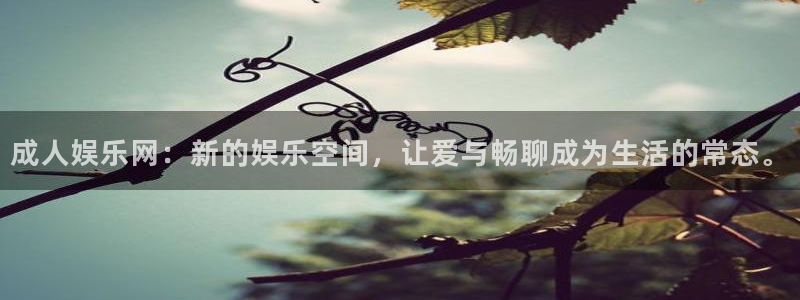 壹号娱乐2登录地址：成人娱乐网：新的娱乐空间，让爱与畅聊成为生活的常态。