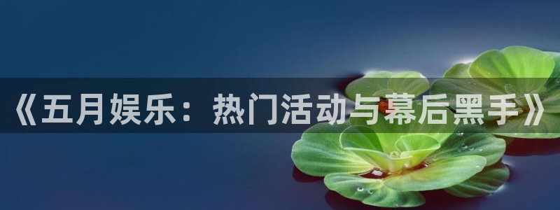 壹号娱乐体育：《五月娱乐：热门活动与幕后黑手》